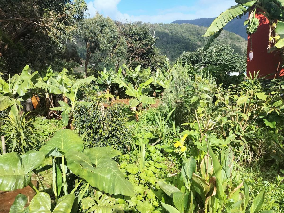 马希库Sea Mountain House别墅 外观 照片