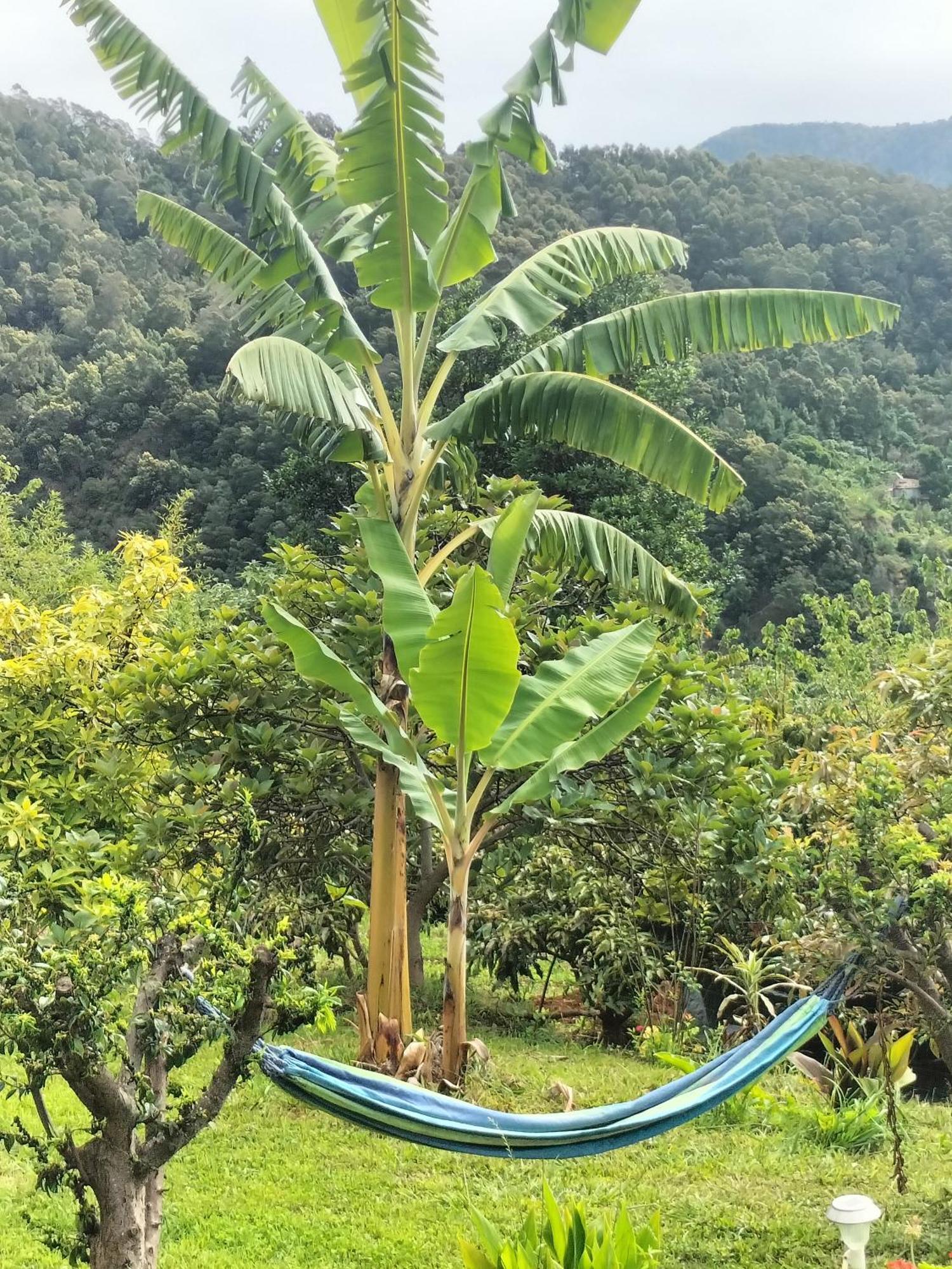 马希库Sea Mountain House别墅 外观 照片